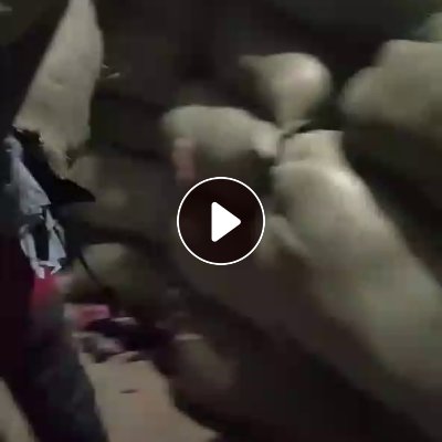 长期大量出售白烟，锦纶废布，尼龙废布，泳装边角料，内衣边角料等