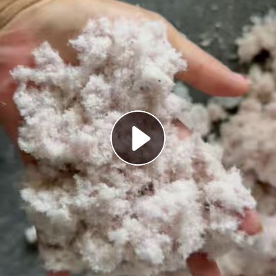 出售果袋纸纸浆，干浆