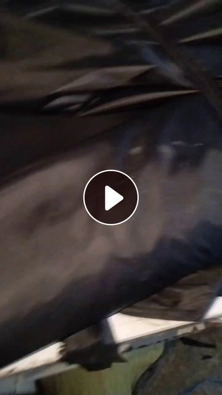出售黑色纯涤纶刀口布，有30公分和50公分的，长度有1米左右，现货有3吨，货在江苏盐城