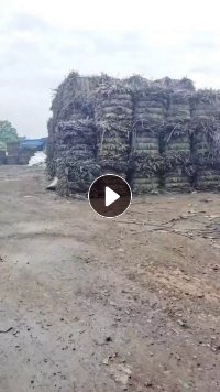 出售滴灌带，现货200多吨