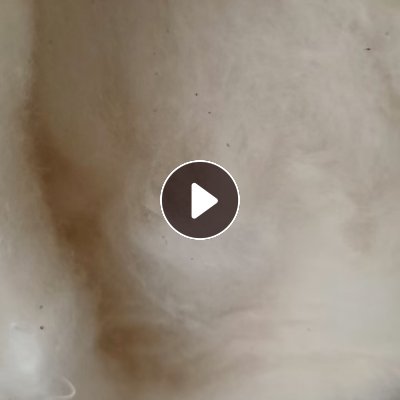 长期出售学生被，纯棉学生被，现货十七吨左右