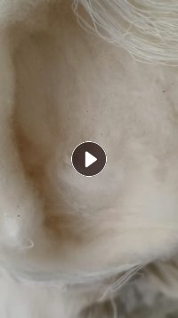 长期出售学生被，纯棉学生被，现货十七吨左右