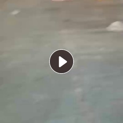 长期出售水洗二级高压膜，现货一挂车，含不到5个点的低压膜