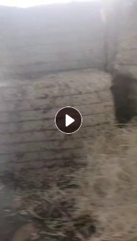 长期出售富士康下来的电子条纸,木浆纸