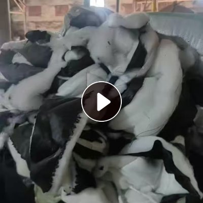 长期出售夹丝棉，线头棉，都是压好包的，每个月有大几十吨，货在湖南株洲