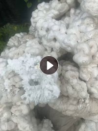 长期出售泡沫冷溶块,泡沫冷熔块