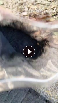 长期出售石墨炭黑，热值7600以上