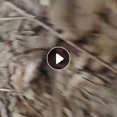 出售光伏纸压块，月供十几吨