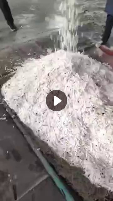 长期出售木浆电子条纸