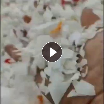 出售PE酱油壶破碎料，一级二级都有