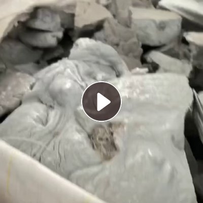 三维厂长期出售做短纤下来的pet机头料，pet块料，现货200吨