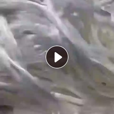 长期出售白色涤纶工业丝，涤纶废丝，涤纶丝，现货有50吨，货在山东临沂