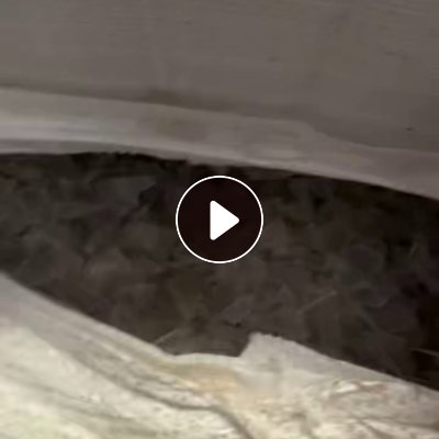 出售PC射灯破碎料，PC社会料粉碎的，月供100吨