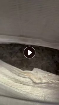 出售PC射灯破碎料，PC社会料粉碎的，月供100吨