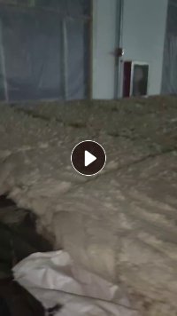 长期出售废棉,车肚斩刀破籽混在一起的,月供40吨左右