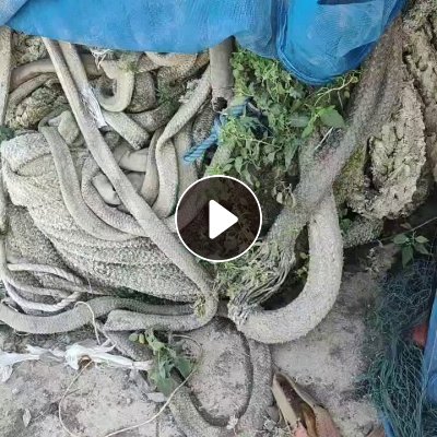 长期出售废旧缆绳，纯棉材质，可以开花，现货有10来吨，货在浙江舟山