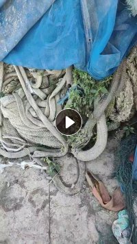 长期出售废旧缆绳，纯棉材质，可以开花，现货有10来吨，货在浙江舟山