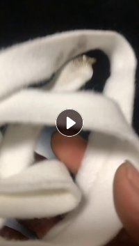 出售尼龙废布，现货5吨