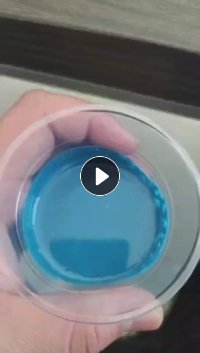 求购PVC浆料