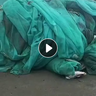 出售PET安全网废料，现货300多吨