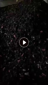 出售PP水果筐破碎料,现货20吨