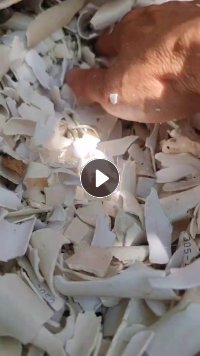 长期出售PVC大小管破碎料,小管占比六七成左右,也有纯小管破碎料,够车发货