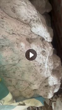 出售eps热熔块,长期有货,少量厂货
