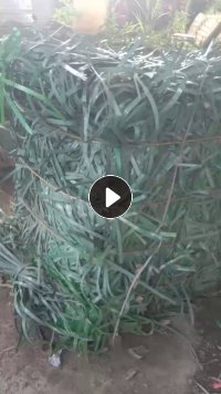 出售pet打包带，杂色的，月供30吨