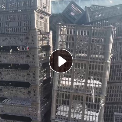 出售二手PP水果筐，各种颜色都有