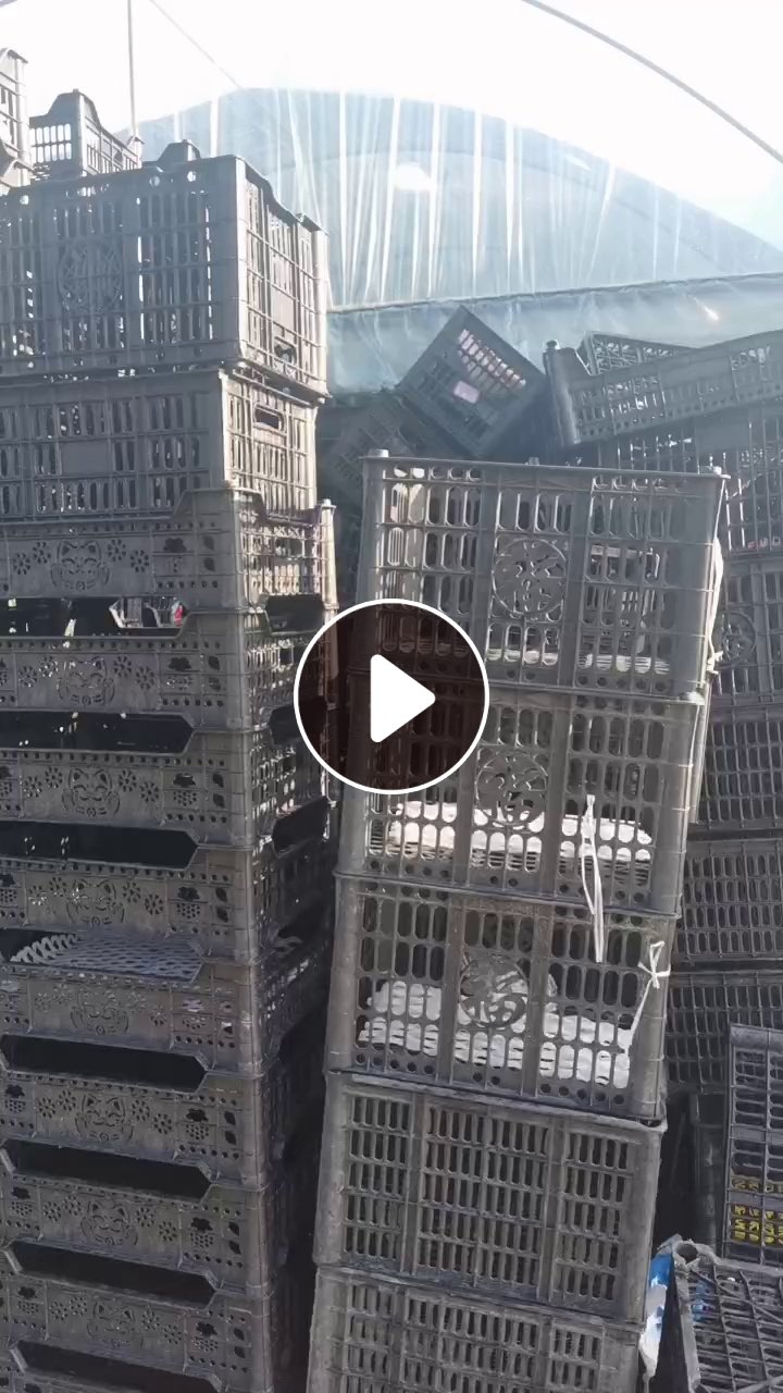 出售二手PP水果筐，各种颜色都有