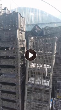 出售二手PP水果筐,各种颜色都有