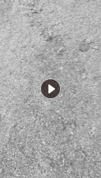 长期出售pvc毛毛料，够车拉走