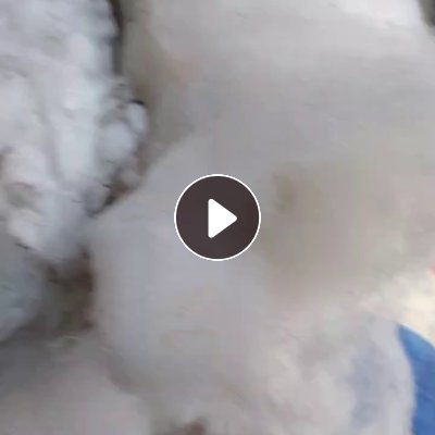 长期出售丝绵被，旧棉被，化纤被统货，棉被统货，月供几十吨