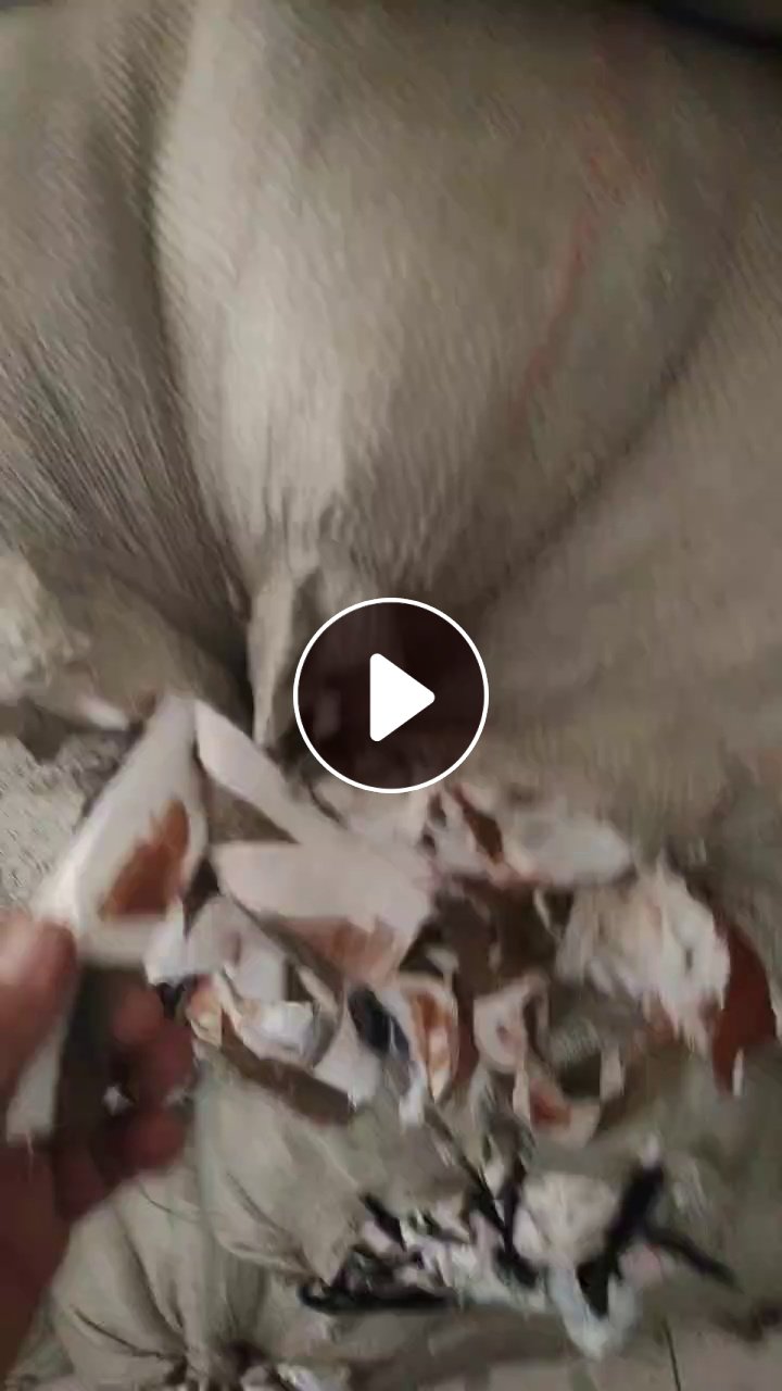 长期出售梭织涤棉废布，涤棉边角料，钓鱼线布料，涤棉废布，现货10吨左右