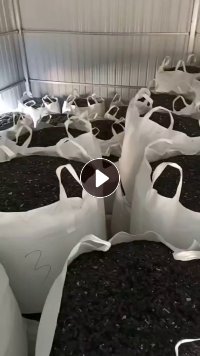 长期出售ABS/PC电动车充电外壳合金破碎料，冲击4-6个，用盐水洗