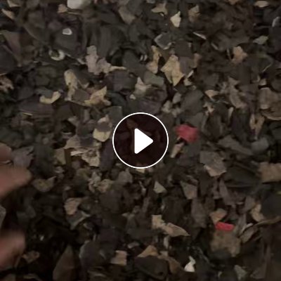 常年出售PP汽车内饰破碎料，干粉，空风 ，磁选，每月至少两挂车