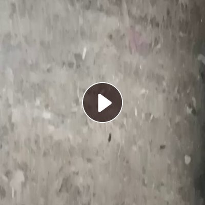 出售电子粉条，炼油用，用风吹出来的，比较感觉，挑过一遍，月供200吨