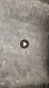 出售电子粉条，炼油用，用风吹出来的，比较感觉，挑过一遍，月供200吨