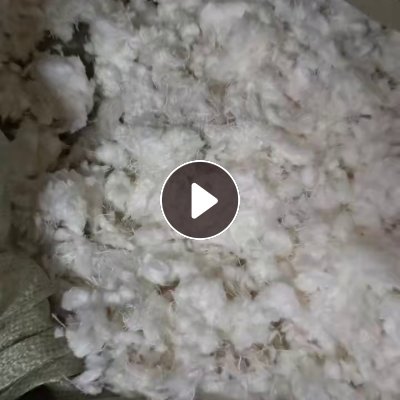 长期出售剪毛机下来的纯棉毛毛料，人棉毛毛料，纯棉现货6吨货