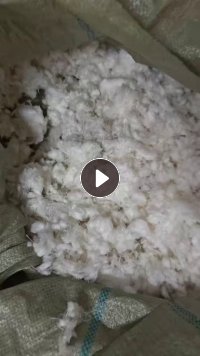 长期出售剪毛机下来的纯棉毛毛料，人棉毛毛料，纯棉现货6吨货