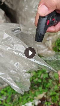 出售无胶PET膜废料，PET滑膜，汽车膜下来的，现货十来吨