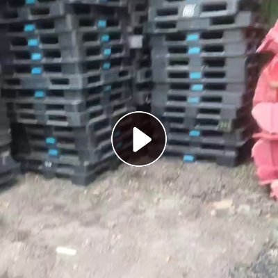 出售pe卡板、托盘破碎料，月供100吨