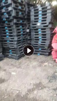 出售pe卡板、托盘破碎料，月供100吨