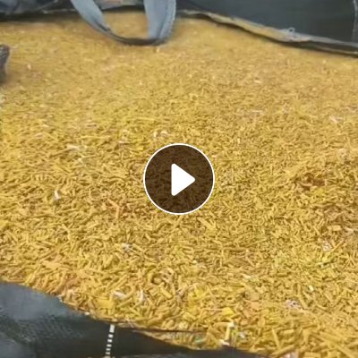 长期出售纯pvc电线皮废料，现货一挂车