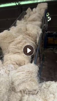 大量出售本白双胶纸边角料