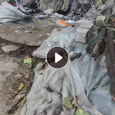 长期求购废棉，旧丝绵，化纤棉，烂棉，扫地花等，做汽车保温被用，厂在山东滕州