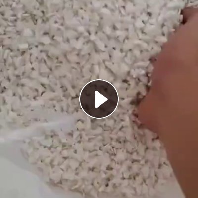 长期出售共聚丙破碎料，pp产品模具破碎料，全白无灰分，可代替新料，直接上机注塑