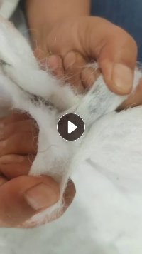 长期大量出售床垫下来的床垫下脚料，毛毡布，70涤30氨纶，现货13米半挂