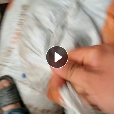 出售PP黑色饭盒破碎料，清洗甩干全漂，现货15吨