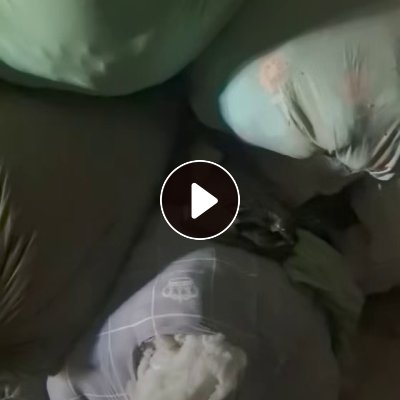 长期出售丝棉娃娃棉，统货出，现货有大十几吨，货在辽宁辽阳